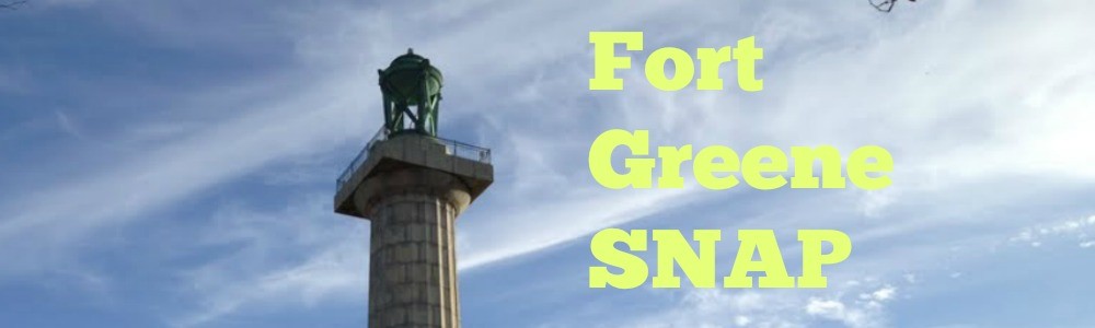 fort greene snap monument